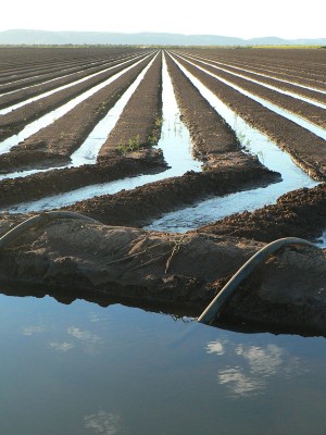 Ord Irrigation Area